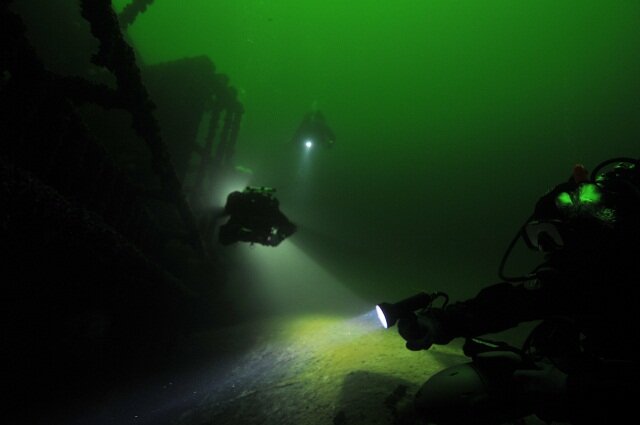 wyprawy_nurkowe_rozgwiazda_01